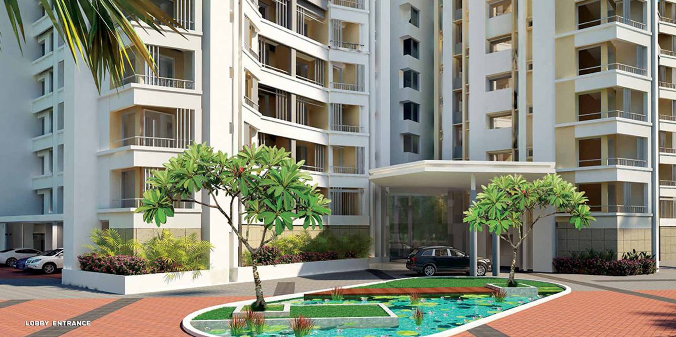 Images for Elevation of Skyline Synergy