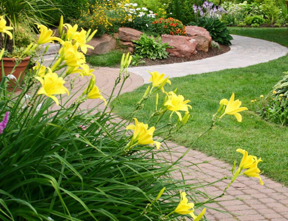 Images for Amenities of Charms Corner