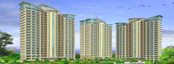 calyx-projects-india-p-ltd acl Elevation