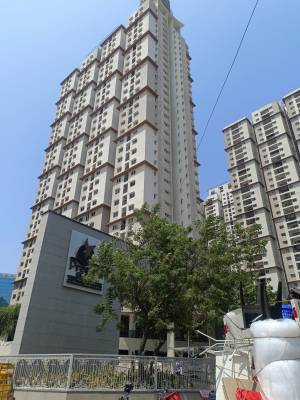 high-fields Elevation Elevation