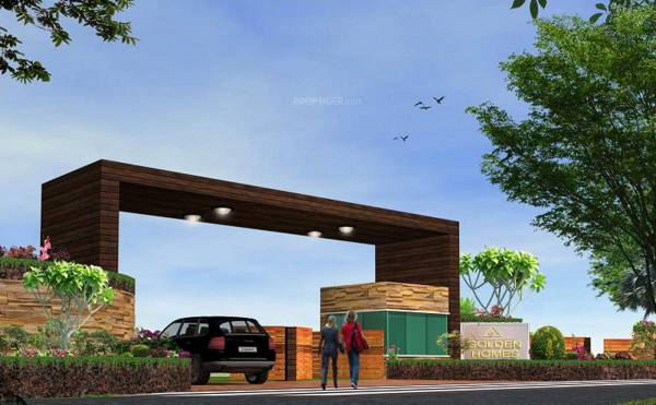  golden-blossom Elevation