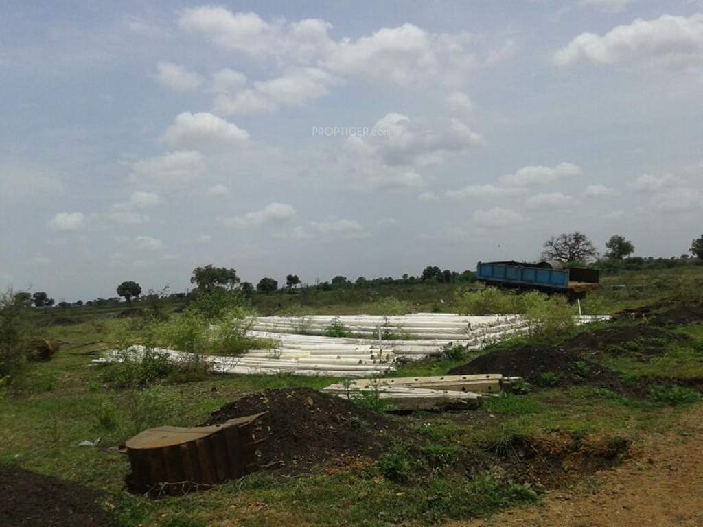  golden blossom Images for Main Other of Yesh Golden Blossom