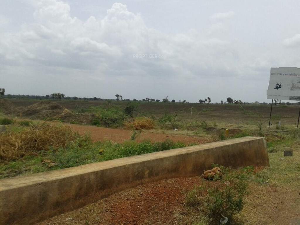  golden blossom Images for Main Other of Yesh Golden Blossom