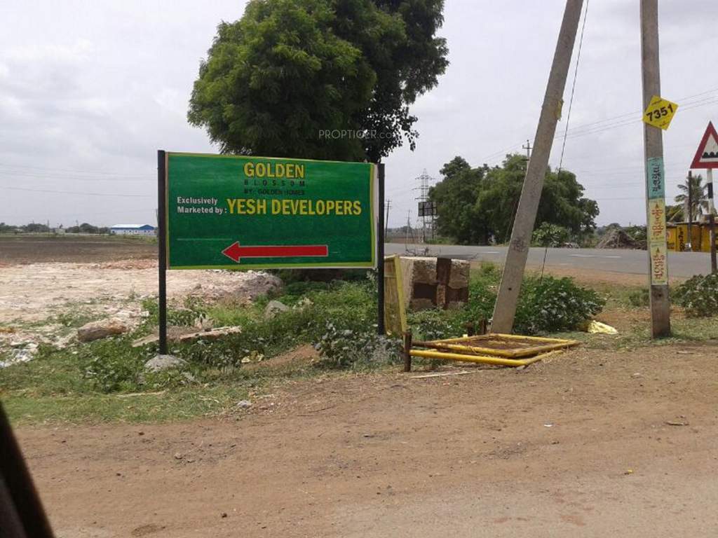  golden blossom Images for Main Other of Yesh Golden Blossom