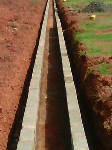 Images for Main Other of Yesh Golden Blossom golden-blossom Images for Main Other of Yesh Golden Blossom