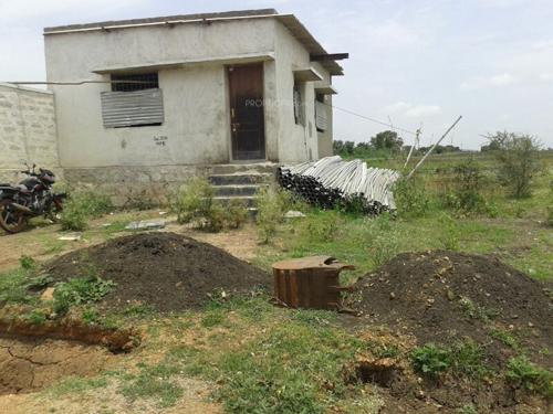 Images for Main Other of Yesh Golden Blossom golden-blossom Images for Main Other of Yesh Golden Blossom