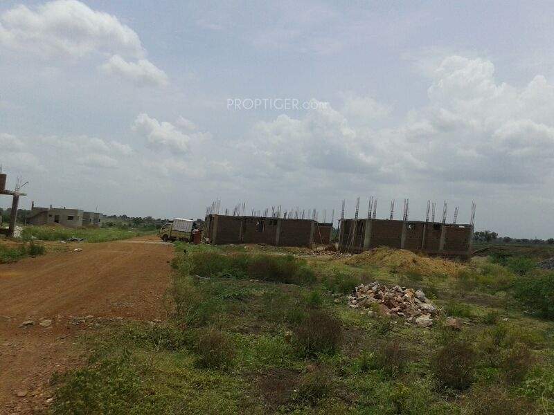  golden blossom Images for Main Other of Yesh Golden Blossom