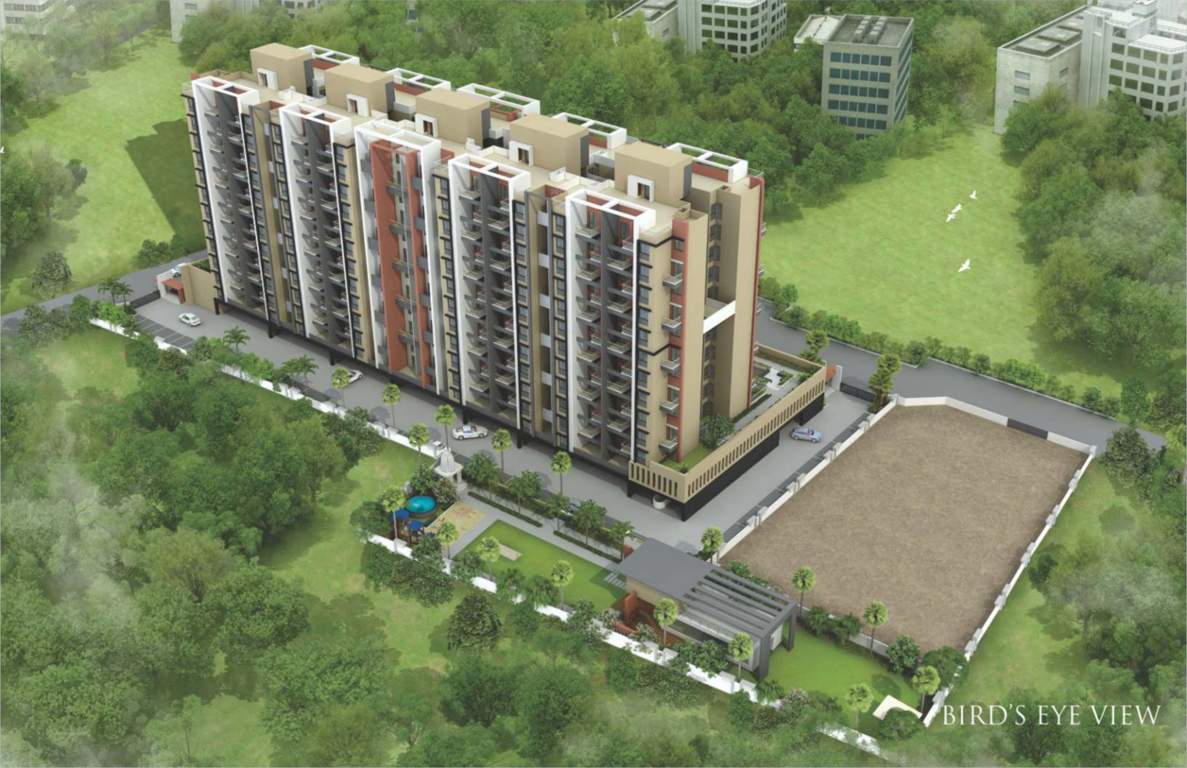 Images for Elevation of Platinum Grassland