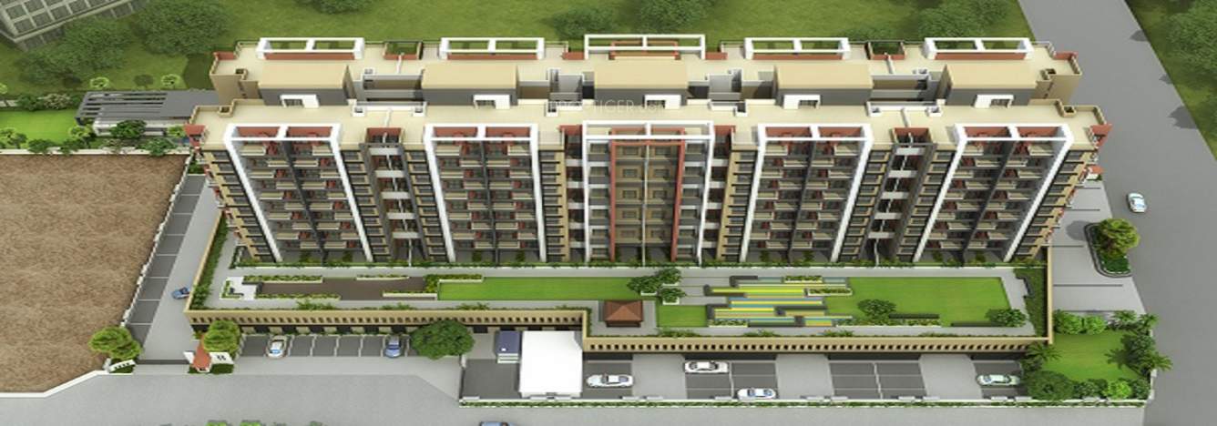 Images for Elevation of Platinum Grassland