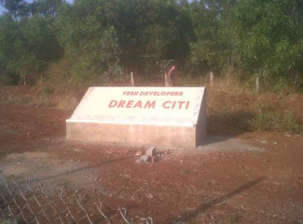  dream-citi Others