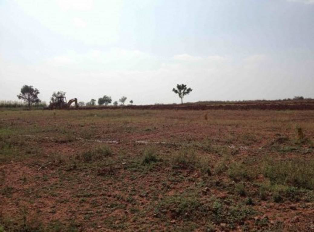 Images for Main Other of Yesh Sun Citi