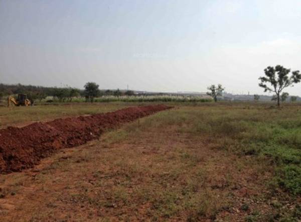 Images for Main Other of Yesh Sun Citi