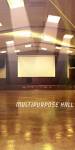 Multipurpose Hall solitaire Multipurpose Hall