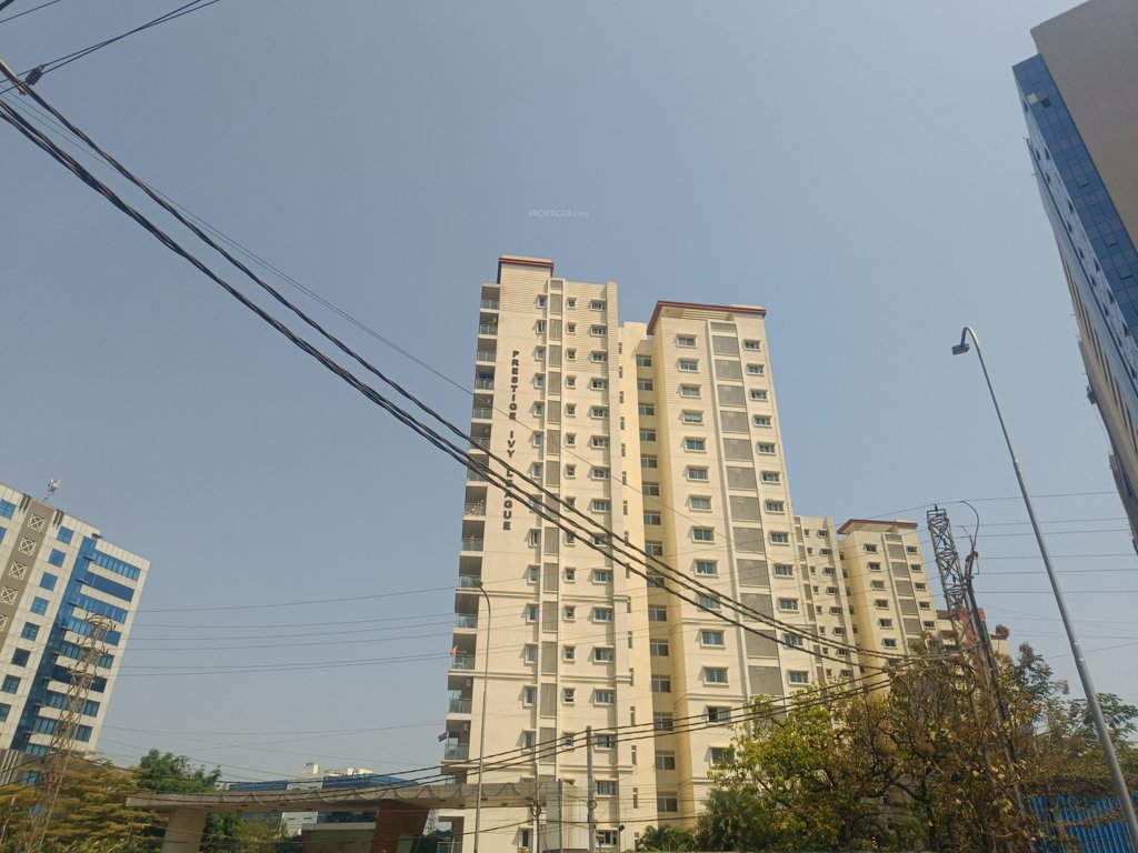  ivy league Elevation