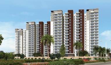 Images for Elevation of Prestige Group Ivy League Images for Elevation of Prestige Group Ivy League