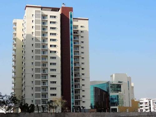 Images for Elevation of Prestige Ivy League ivy-league Images for Elevation of Prestige Ivy League