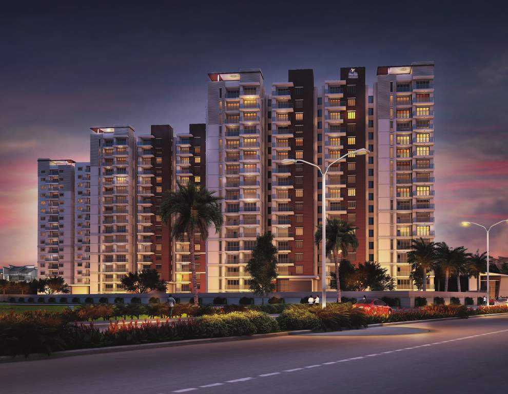  ivy league Images for Elevation of Prestige Ivy League