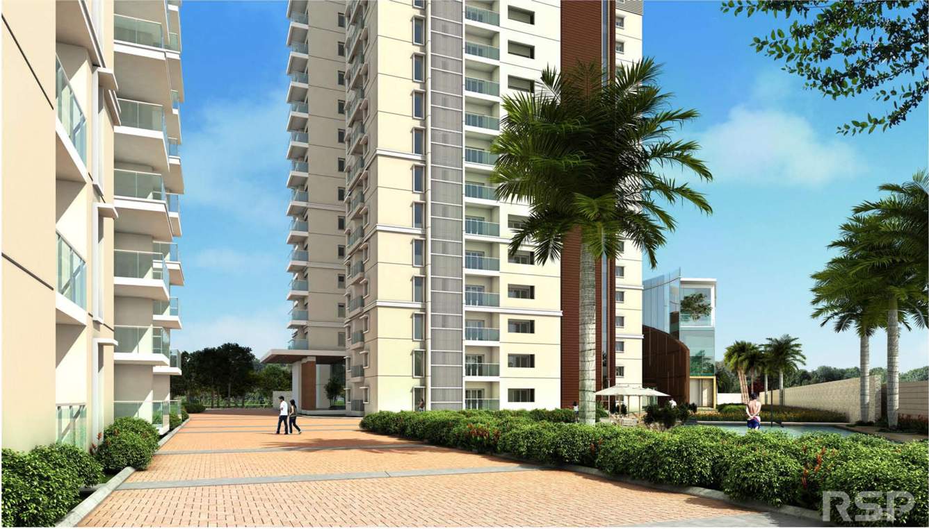  ivy league Images for Elevation of Prestige Ivy League