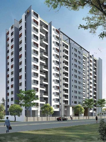  msr Images for Elevation of Prestige MSR