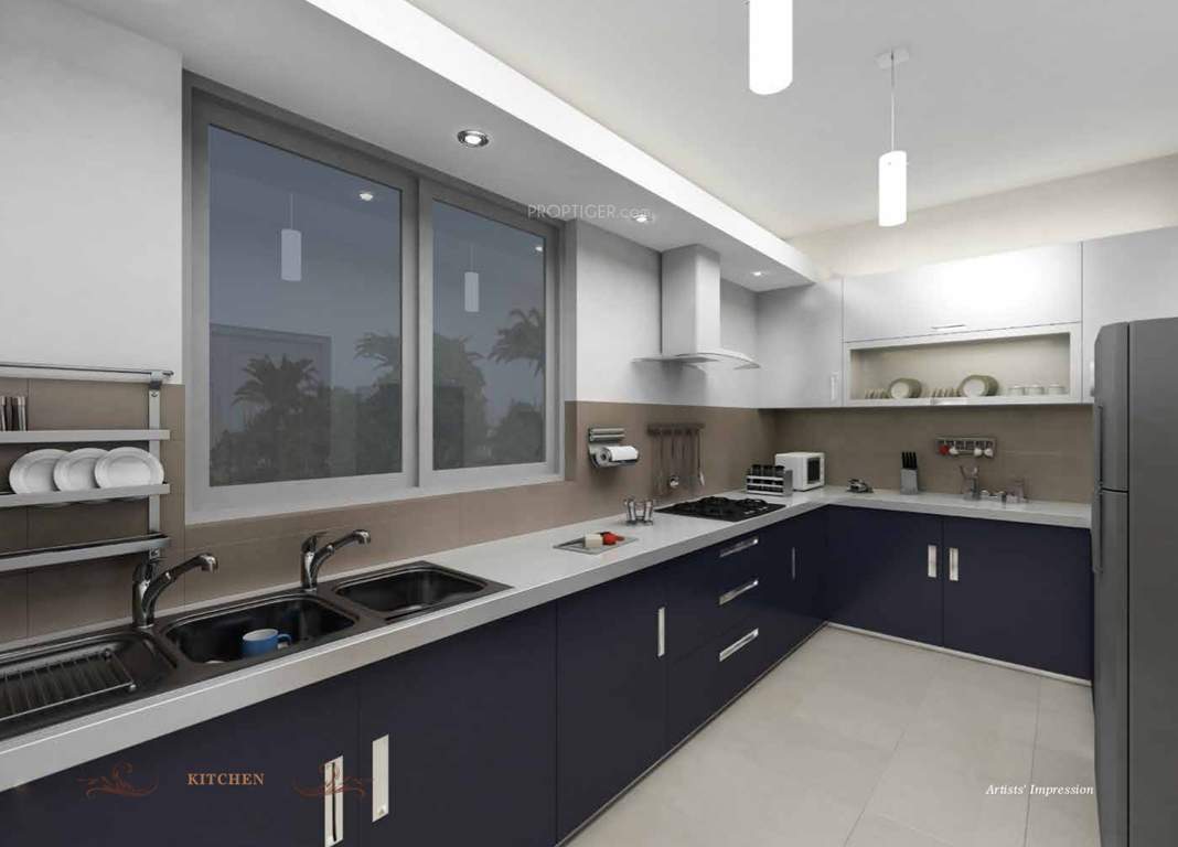 msr Images for Main Other of Prestige MSR