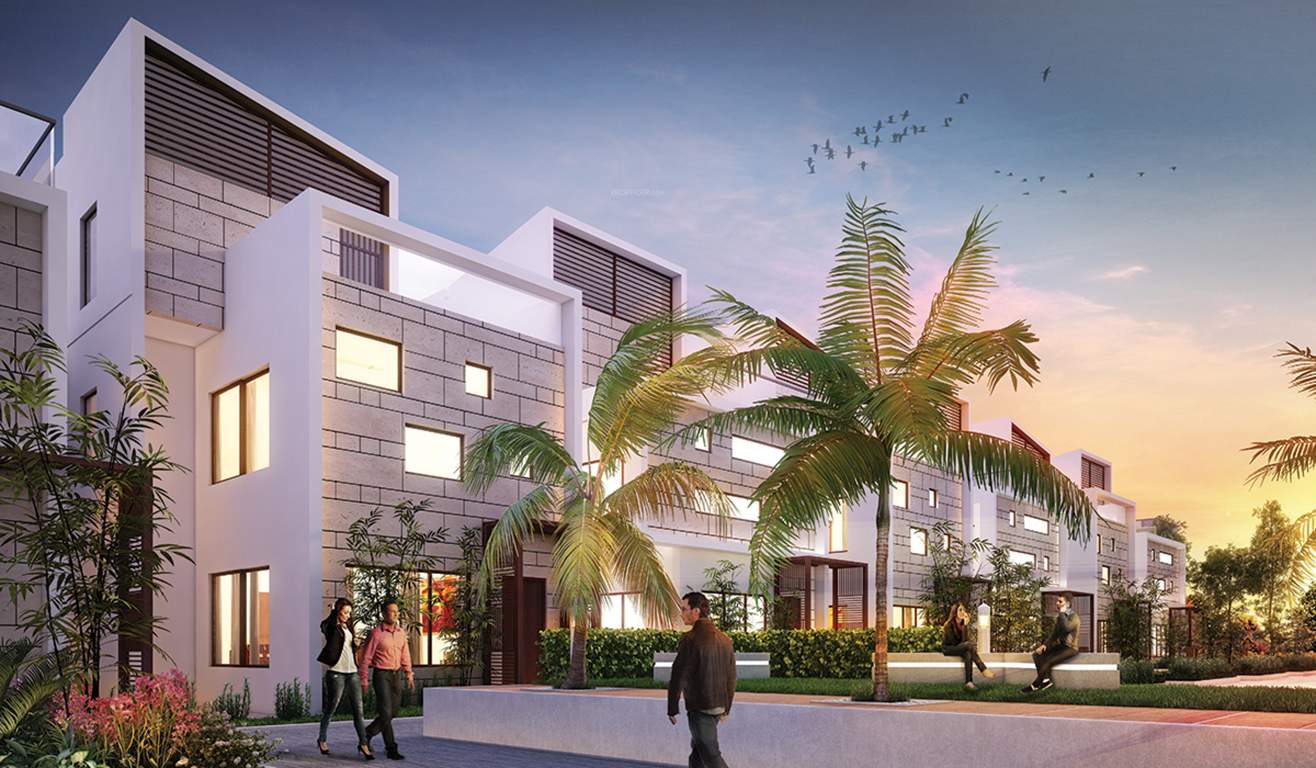 tatvam Images for Elevation of Axis Tatvam