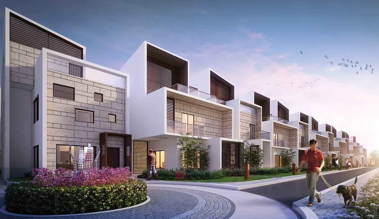 tatvam Images for Elevation of Axis Tatvam