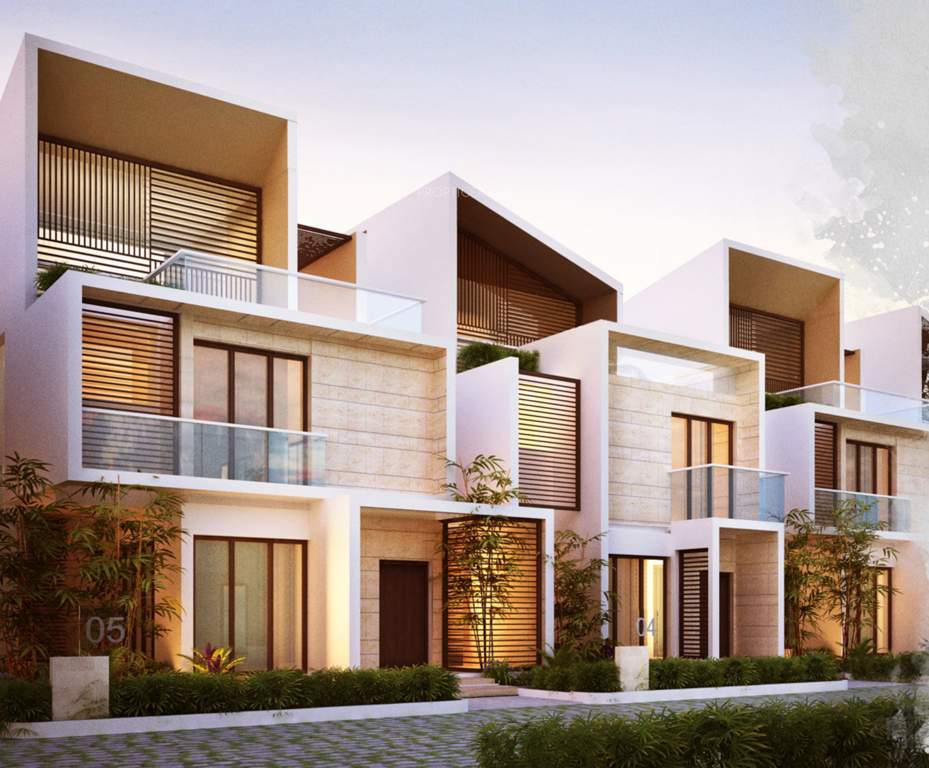 tatvam Images for Elevation of Axis Tatvam