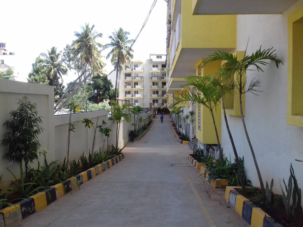  concord Images for Project