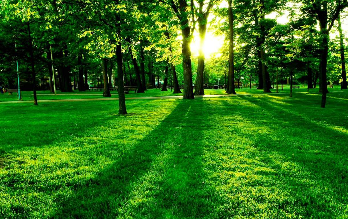  maple woodz Images for Amenities of Windsor Maple Woodz