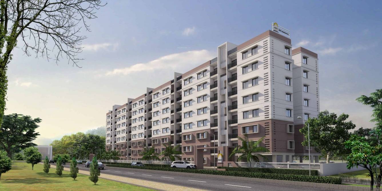 bollineni nestor Elevation