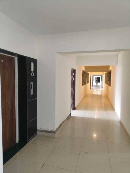  bollineni-nestor Others