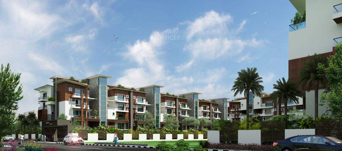  elicia Images for Elevation of Krishna Elicia