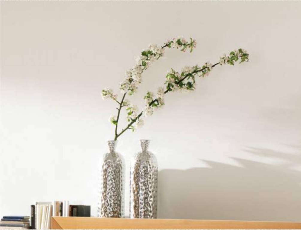 Images for Main Other of Somayaji Essel Heights