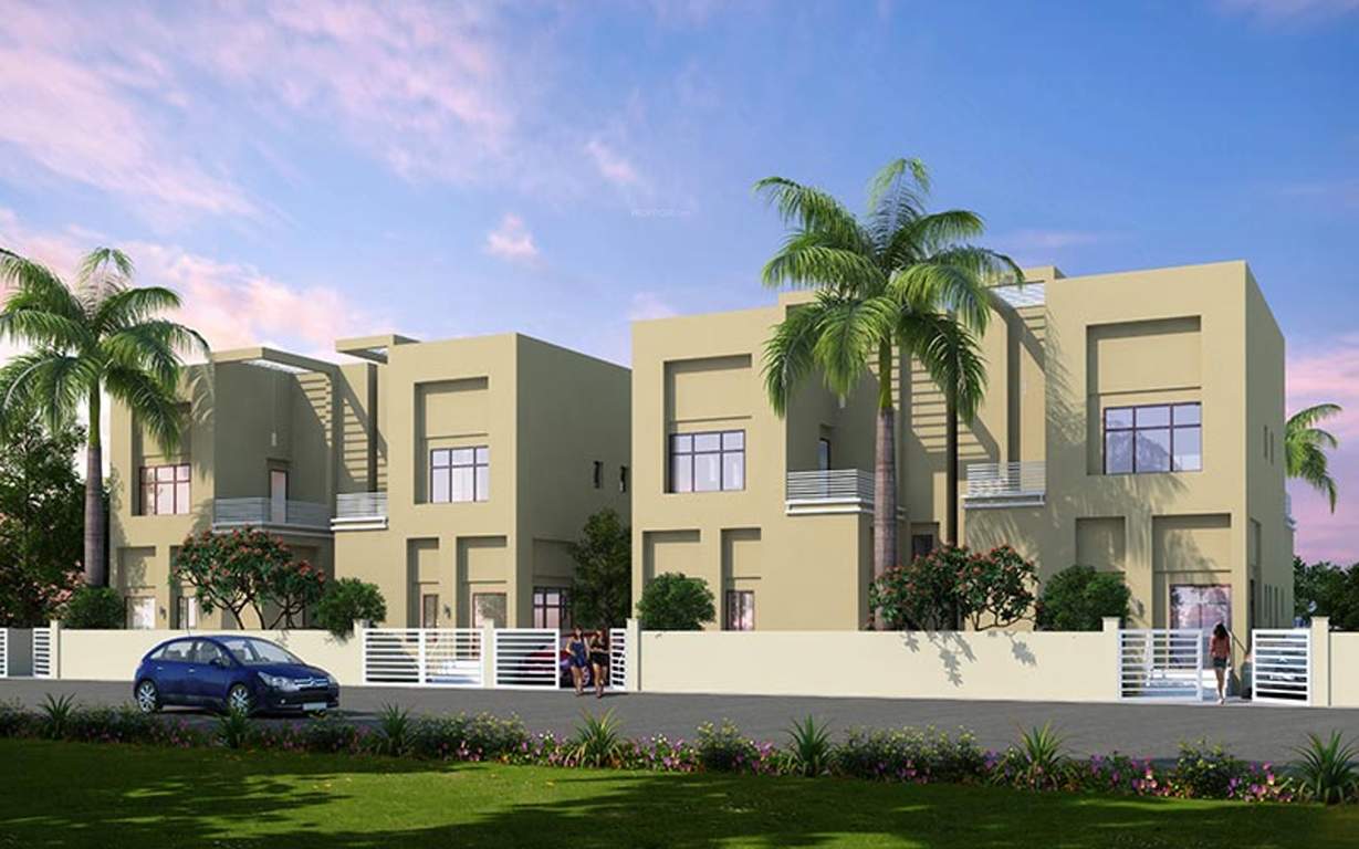 valley of flowers Images for Elevation of Ashoka Valley of Flowers