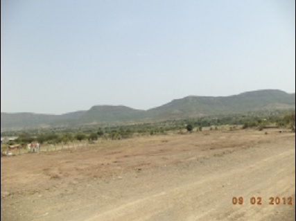 Others green-farms Others