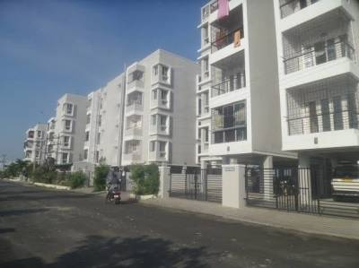  euphorbia-phase-4 Elevation