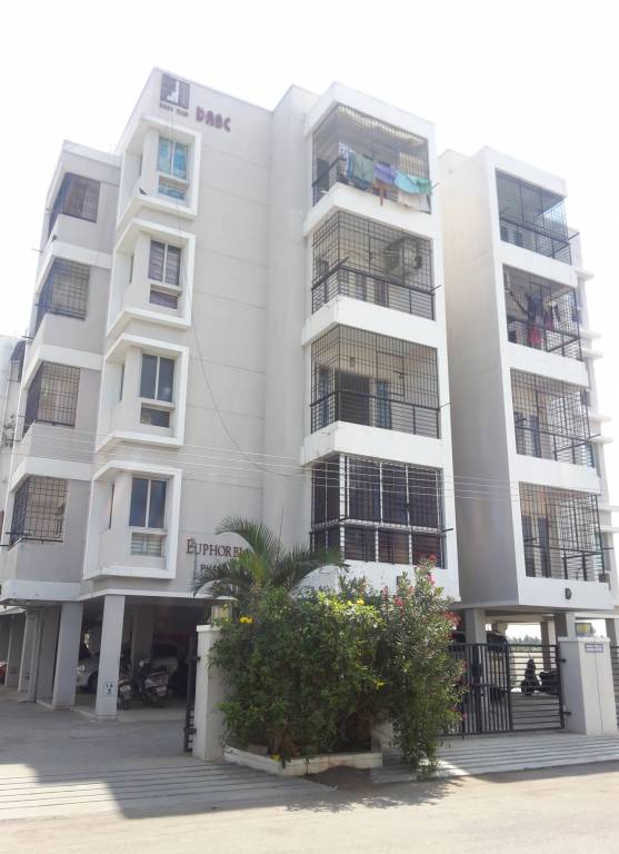 euphorbia phase 4 Elevation