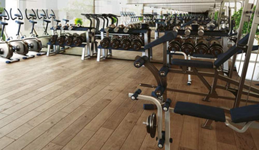 Images for Amenities of Gala Eternia