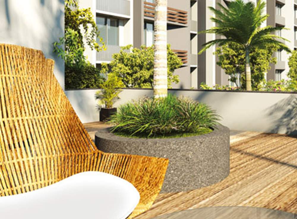 Images for Main Other of Gala Eternia