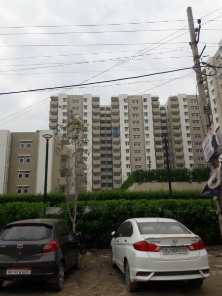 Images for Project lemon Images for Project