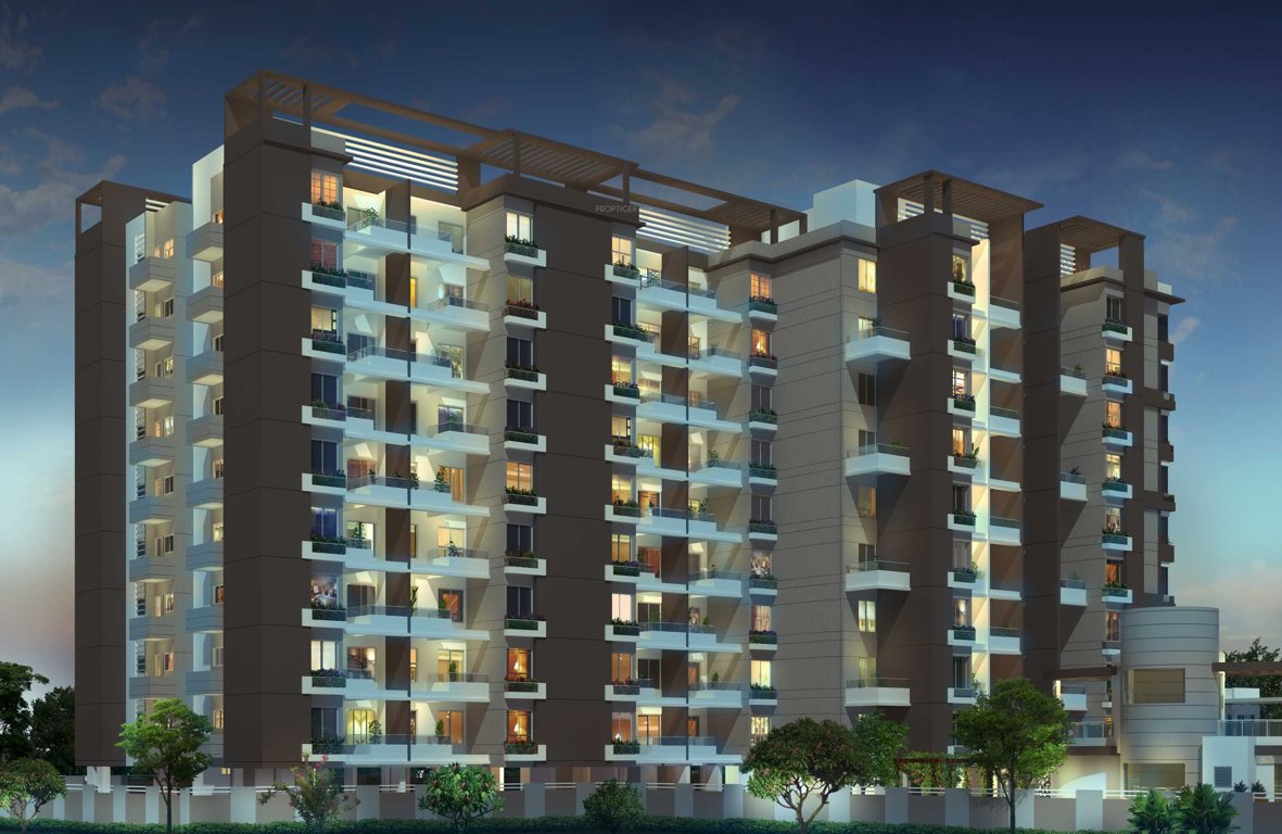 Images for Elevation of Vision Eternity