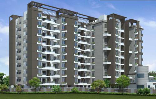 Images for Elevation of Vision Eternity