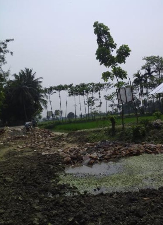 Images for Main Other of Naskar Green Town