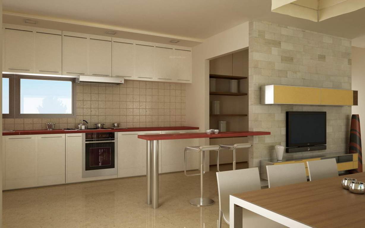 grace Images for Main Other of Sankalp Organisers Grace