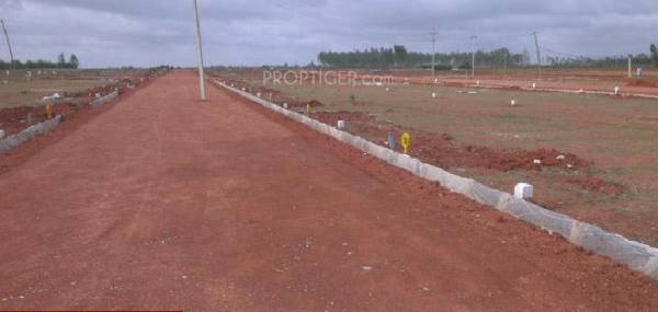 Images for Main Other of PNP Aero Shadow