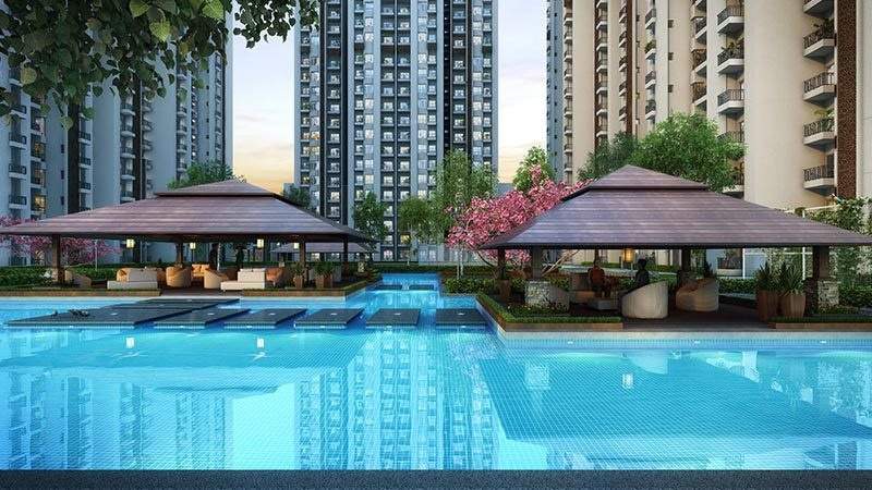  divino Images for Amenities of Ace Divino