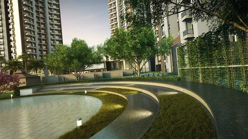  divino Images for Amenities of Ace Divino