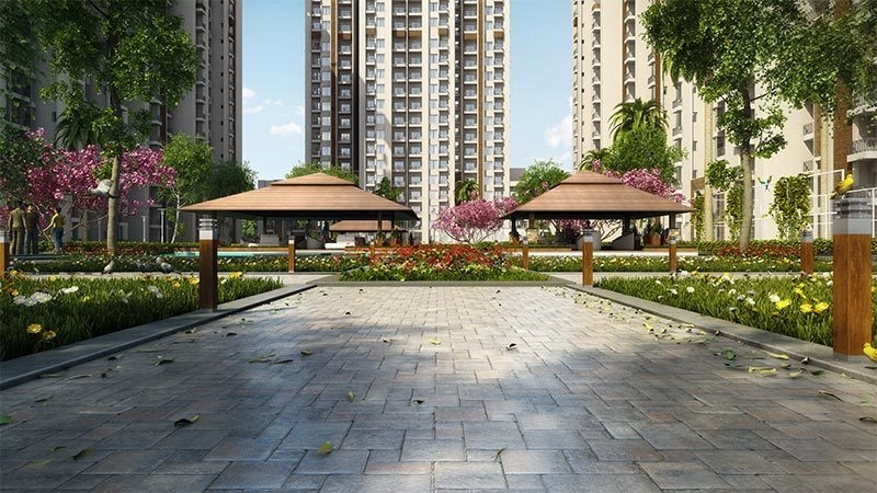 Images for Amenities of Ace Divino