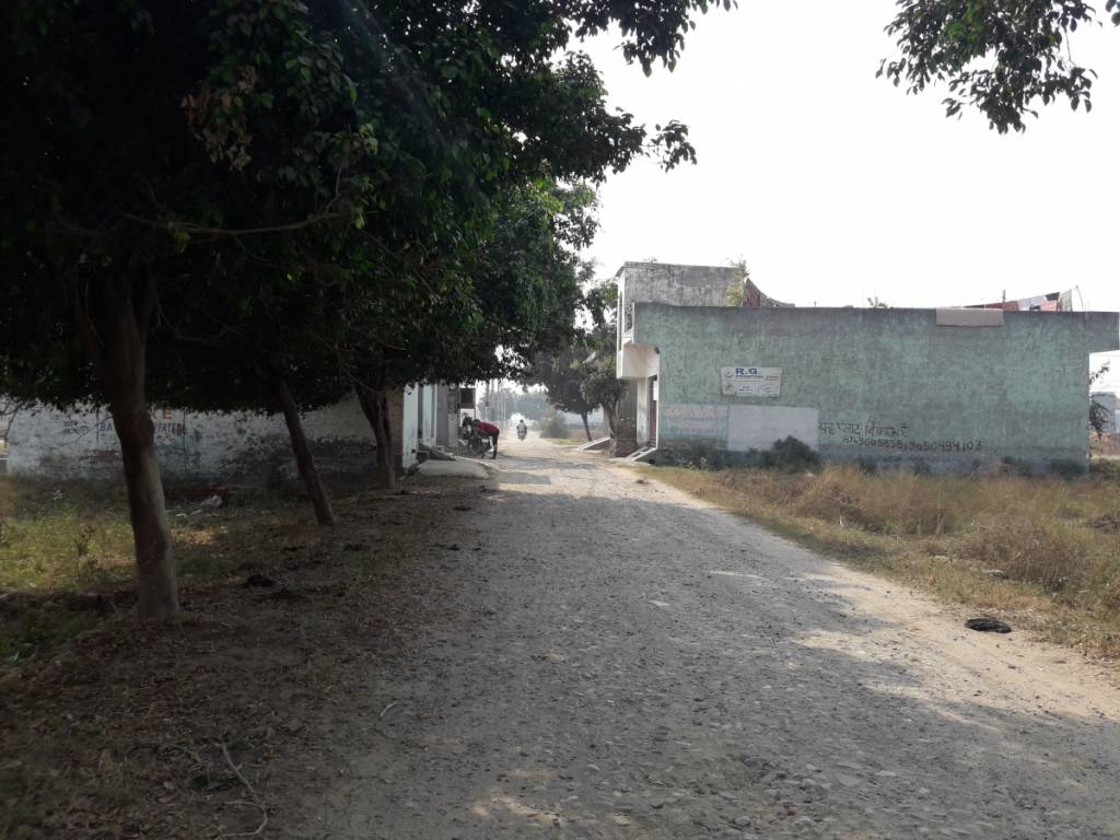 Images for mainOther