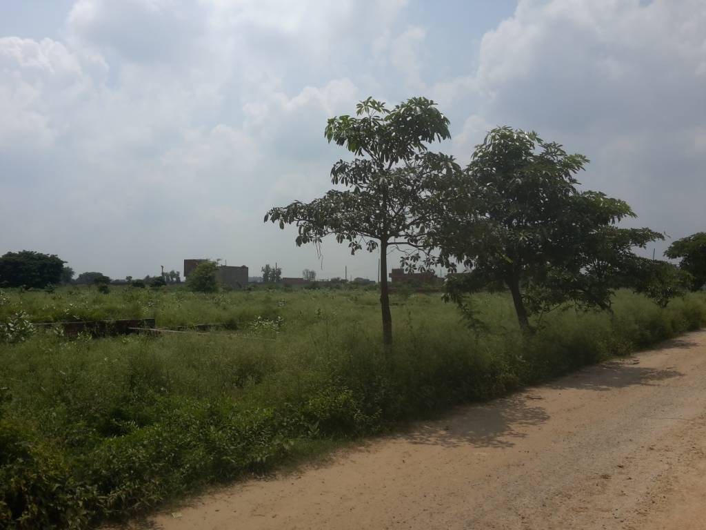 Images for mainOther